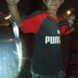 大阪南港　アジングでアジ＆タチウオ　タチウオのサイズはリリースサイズ