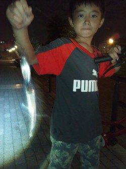 大阪南港　アジングでアジ＆タチウオ　タチウオのサイズはリリースサイズ