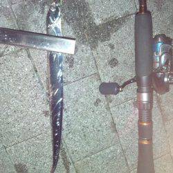 大阪南港　アジングでアジ＆タチウオ　タチウオのサイズはリリースサイズ