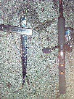 大阪南港　アジングでアジ＆タチウオ　タチウオのサイズはリリースサイズ