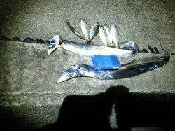 高砂埋立地ワインド＆アジング釣果