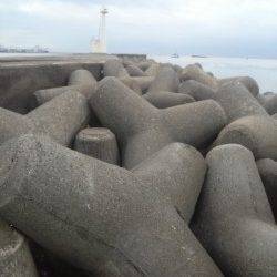 高砂港　穴釣りで1時間程のガシラ狙い☆