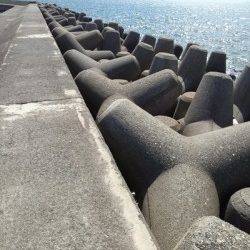 高砂港　穴釣りでガシラ〜22cmが5匹　22cmは今年最大