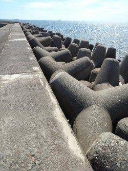 高砂港　穴釣りでガシラ〜22cmが5匹　22cmは今年最大