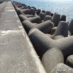 高砂港の投げ釣りでキス・ベラ