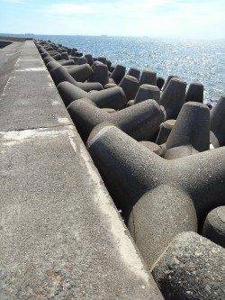 高砂港の投げ釣りでキス・ベラ