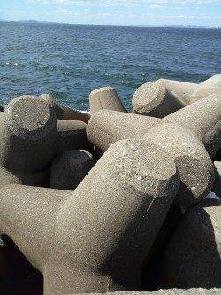 高砂港で穴釣り、青物の惜しいバラシも