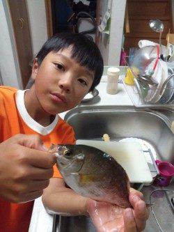 本荘人工島赤灯で探り〜サビキ釣り　魚種多様に釣れました