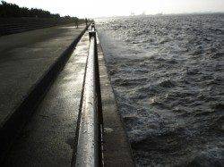 南芦屋浜　強風の中でもルアーでツバスがヒット！