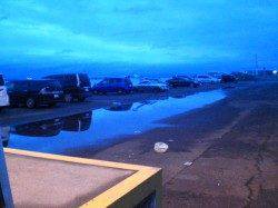 人気の兵庫突堤　ルアーやサビキでアジ&サバ