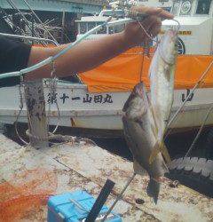 沖の北でルアーゲーム、メタルジグでツバス&ハネ