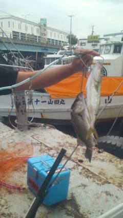 沖の北でルアーゲーム、メタルジグでツバス&…