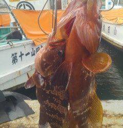 ズボ釣りで高級魚アコウGET！旧の赤灯台