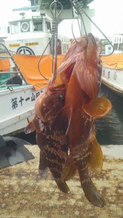 ズボ釣りで高級魚アコウGET！旧の赤灯台