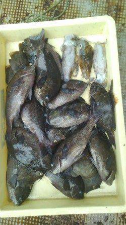 岸和田一文字　ウキ釣りでグレ・カワハギ　エギングでアオリも