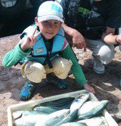 岸和田一文字　メジロ80cmを含む青物の釣果
