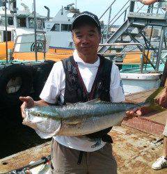 岸和田一文字　メジロ80cmを含む青物の釣果