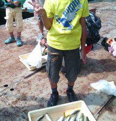 岸和田一文字　アジは最大28cmの大型も