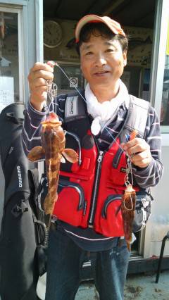 岸和田一文字、高級魚アコウがあがっています！