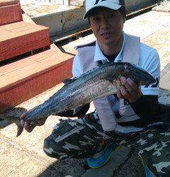 沖の北、ルアーでサゴシ&タチウオ