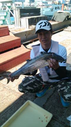 沖の北、ルアーでサゴシ&タチウオ