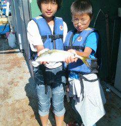 岸和田一文字、ツバスが良く揚がっています