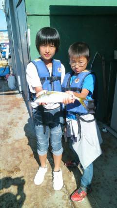 岸和田一文字、ツバスが良く揚がっています