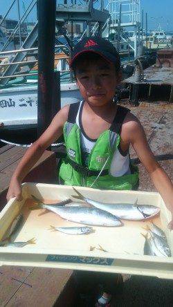 岸和田一文字　ツバス＆タチウオ釣果