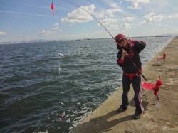 武庫一でアジ・サバ・イワシ！10時まで凄く…