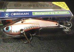 助松埠頭　ルアーでサゴシの釣果