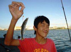 佐野漁港でサビキ&メタルジグ、サヨリが快釣