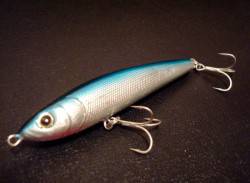 りんくう　トップで今シーズン初シイラがヒッ…