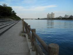 貝塚人工島へカワハギ釣り、15.5cmまで…