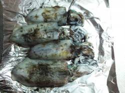 柴山港　夜9時からのエギングでアオリイカ4…