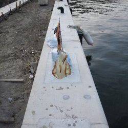 赤礁での2日連チャンのエギング釣果