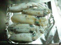 柴山港　ナイトエギングでアオリイカ5ハイ　午後9時頃からの釣行