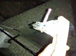 助松埠頭でのワインド釣果