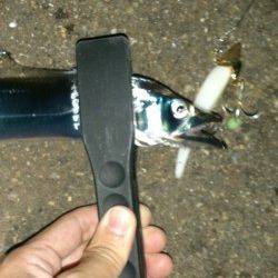 兵庫突堤　ワインドでタチウオ〜60cm1匹　今日は9打数1安打