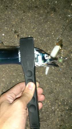 兵庫突堤　ワインドでタチウオ〜60cm1匹…