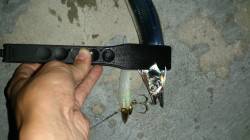 大阪南港にタチウオ回遊中・・・漬け丼と刺身…