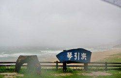 琴引浜はキスの型は良さそうです♪