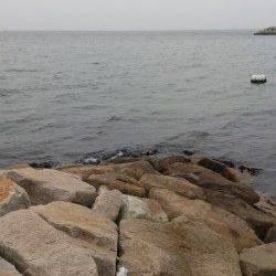 江井ヶ島　穴釣りでガシラ　投げ釣りでキス・アイナメなど