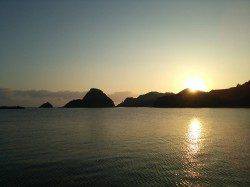 カンパリレッド3.5号でコウイカゲット(^-^)/