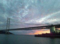 アジュール舞子～西舞子でのサビキ＆エギング釣果