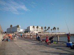 アジュール舞子でサビキ釣り。二人でアジ65匹♪