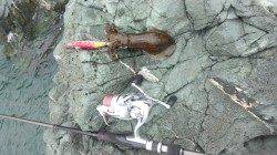 沖ノ島 地ノ島　15時～19時までのエギング釣行