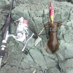 沖ノ島 地ノ島　15時～19時までのエギング釣行