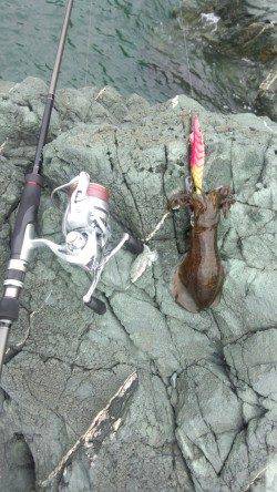 沖ノ島 地ノ島　15時～19時までのエギング釣行