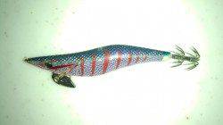 少しの時間だけ水軒のテトラ帯を攻めてきました