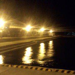 和歌山マリーナシティ　仕事帰りのエギング釣行〜